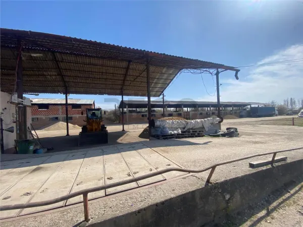 Spațiu industrial Salonta - poza 5