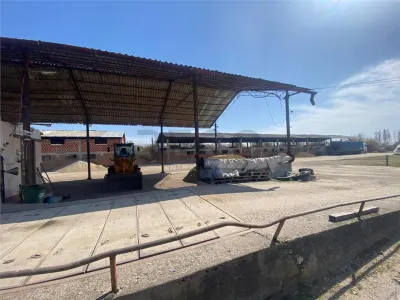 RECO hale cu teren generos Salonta - foto 5