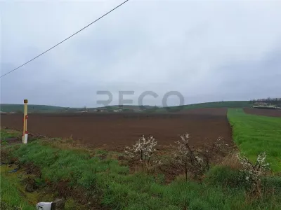 RECO teren Viisoara - foto 2