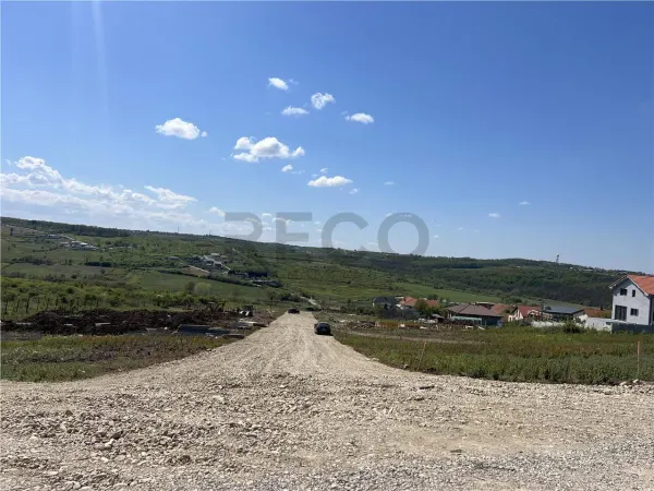 Casă 3 camere Paleu - poza 12