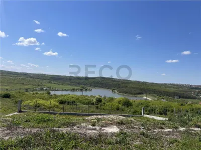 Casă 3 camere Paleu - poza 13