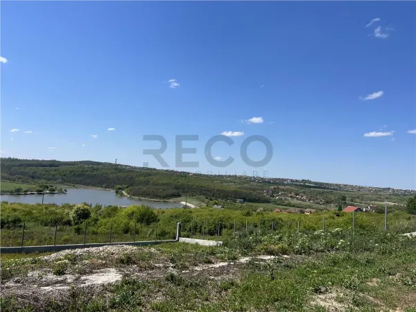 Casă 3 camere Paleu - poza 4