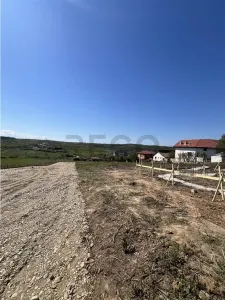 Casă 3 camere Paleu - poza 5