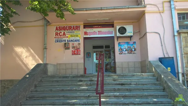 Spațiu comercial Moinești - poza 1