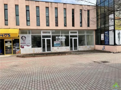 Inchiriere spatiu comercial P. Neamt - 175 mp, P-ta M. Kogalniceanu M3 - foto 5