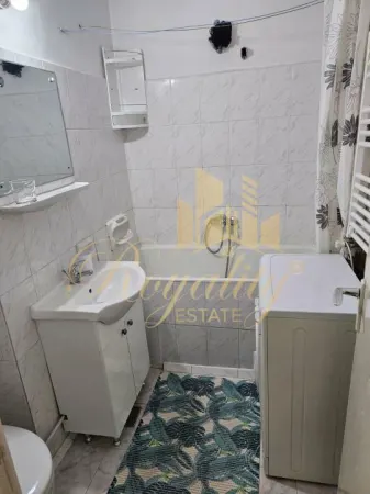 Apartament 1 camera Timișoara - poza 8