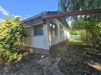Casă 4 camere Podenii Noi - poza 24