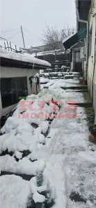 CASA DE VANZARE CU GARAJ,ZONA BOLD - foto 13