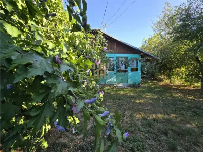 Vindem teren in Plopu - foto 12