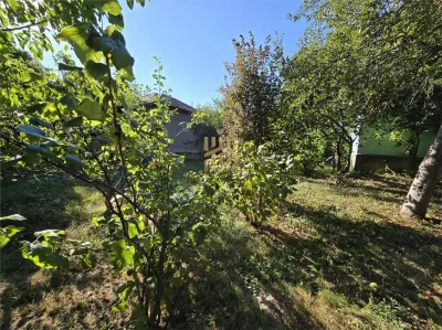 Vindem teren in Plopu - foto 15