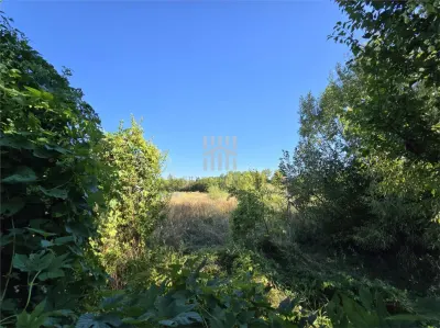 Vindem teren in Plopu - foto 3