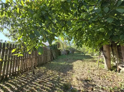 Vindem teren in Plopu - foto 22
