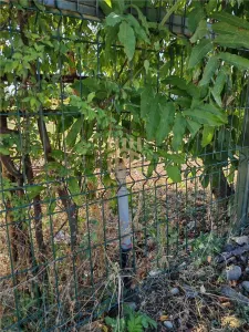 Teren intravilan construibil de vanzare  , reper Primaria Aricestii Rahtivani - foto 11