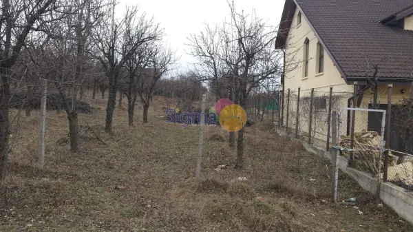 Teren Iași - poza 3
