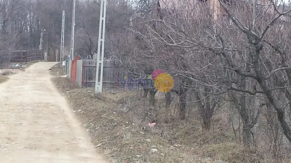 Teren Iași - poza 5