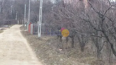 Teren de vanzare Bucium 4300mp - foto 5