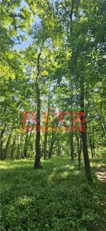 Teren Stoenesti - poza 2
