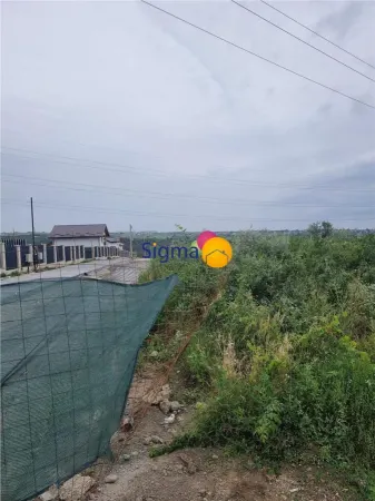 Teren Iași - poza 2