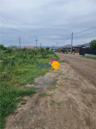Teren Iași - poza 4