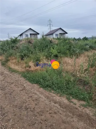 Teren Iași - poza 6