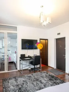 Palas, apartament 1 camera, mobilat ?i utilat - foto 4