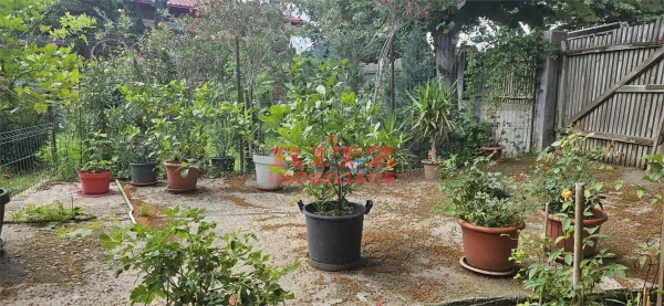 Casă 4 camere Caracal - poza 16