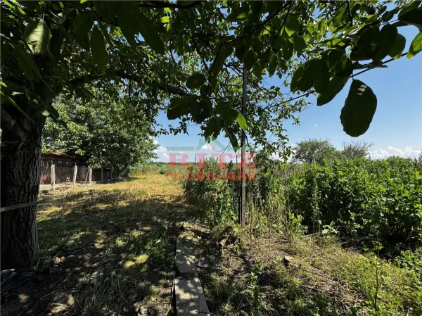 Casă 4 camere Osica de Sus - poza 22
