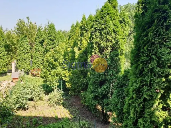 Casă 6 camere Iași - poza 12