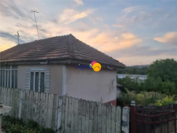 Casă 3 camere Raducaneni - poza 1