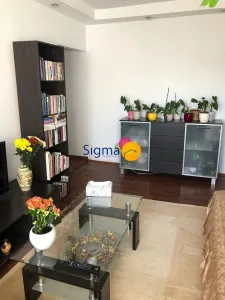 Pacurari, apartament 3 camere - foto 12