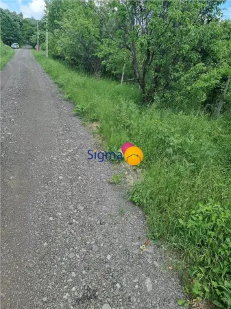 Teren Iași - poza 3