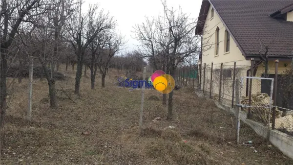 Teren Iași - poza 5