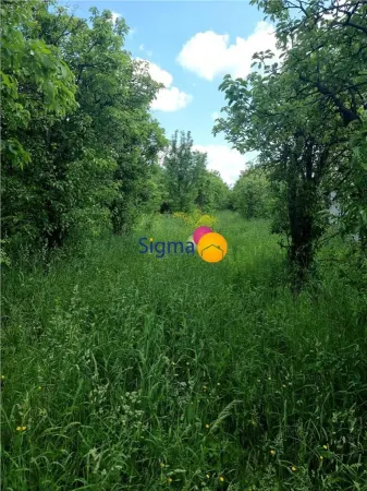 Teren Iași - poza 12