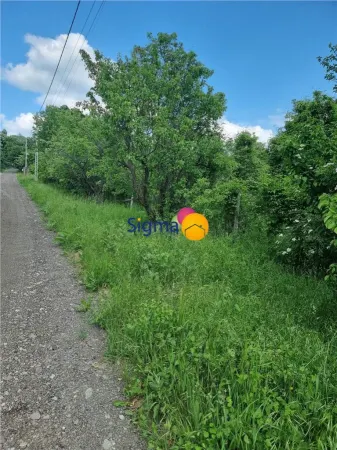 Teren Iași - poza 6