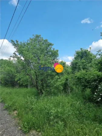 Teren Iași - poza 9