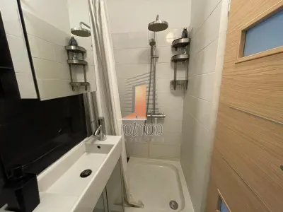Apartament 2 camere decomandat, renovat, mobilat, Sala Palatului - foto 11