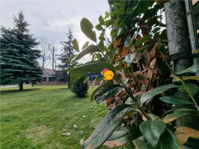 Vila eleganta - foto 5