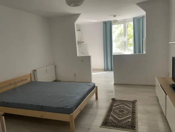 Apartament 1 camera Iași - poza 1