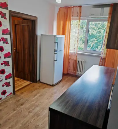 Apartament 2 camere Iași - poza 1