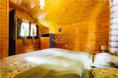 Casa de vacanta (Borzont, jud. Harghita) - foto 15