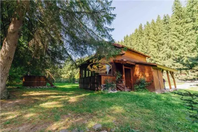 Casa de vacanta (Borzont, jud. Harghita) - foto 3