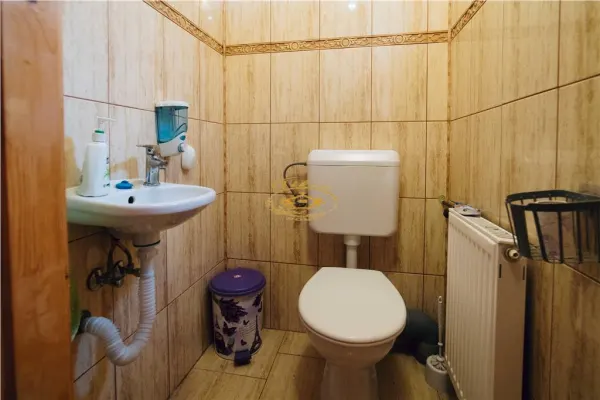 Hotel/Pensiune Bucin (Joseni) - poza 27