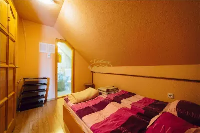 Hotel/Pensiune Bucin (Joseni) - poza 30
