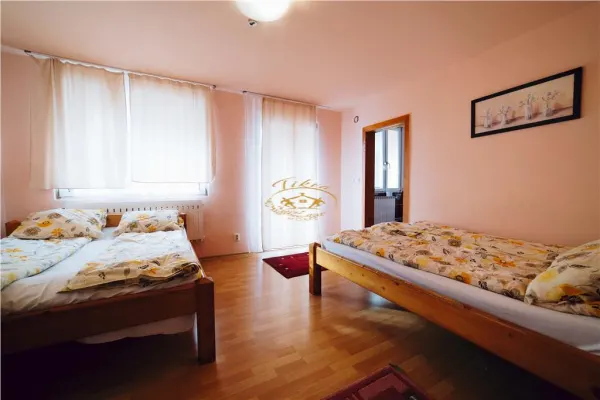 Hotel/Pensiune Bucin (Joseni) - poza 8