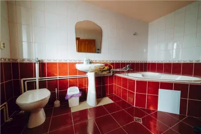 Pensiune si casa de oaspeti la pasul Bucin (Pensiunea Kamilla) - foto 9