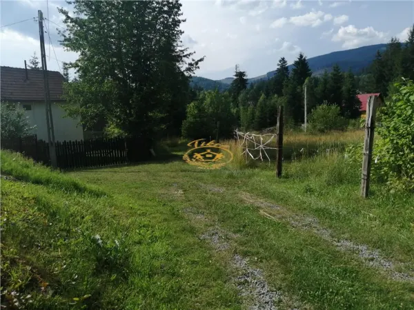 Teren Izvoru Muresului - poza 2