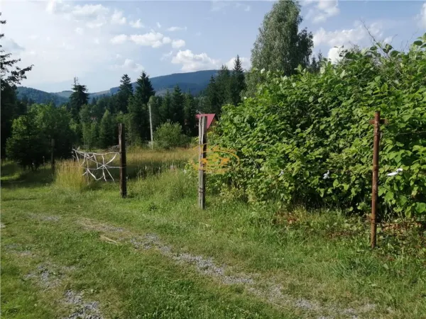 Teren Izvoru Muresului - poza 3