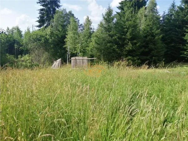 Teren Izvoru Muresului - poza 4