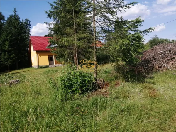 Teren Izvoru Muresului - poza 6