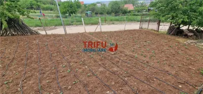 Teren de vanzare zona Micesti - foto 5